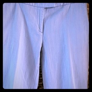 Ann Taylor Dress Pant
